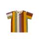 Multi Stripe | T-shirt