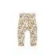 Broek Dragon