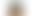 Beach Palms | Hemd Loose