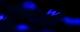 Foto door <a href=
"https://unsplash.com/@j0rt?utm_source=Marsvaardig&utm_medium=referral&utm_campaign=api-credit">