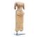Sandstone torso of Uma, Cambodia 11/12th century.