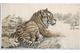 Dazhong, Feng ', Tiger