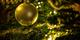 Foto door <a href=
"https://unsplash.com/@joranquinten?utm_source=Marsvaardig&utm_medium=referral&utm_campaign=api-credit">
Joran Quinten</a> op <a href="https://unsplash.com">Unsplash</a>