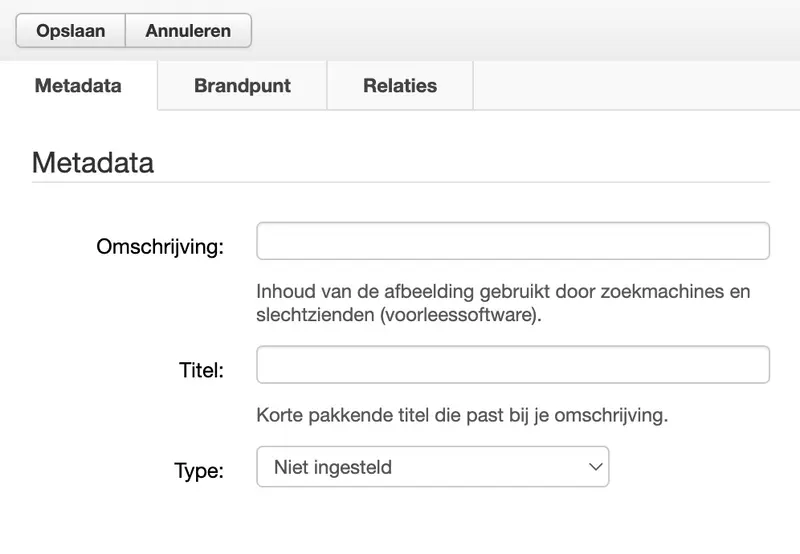 Interface voor metadata-invoer met velden voor omschrijving, titel en type, inclusief invulvelden en dropdown menu in grijstinten