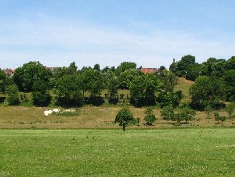 Uitzicht vanuit Noorbeek Uitzicht vanuit Noorbeek