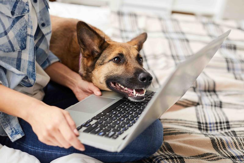Laat anderen meelezen Tips voor scenario